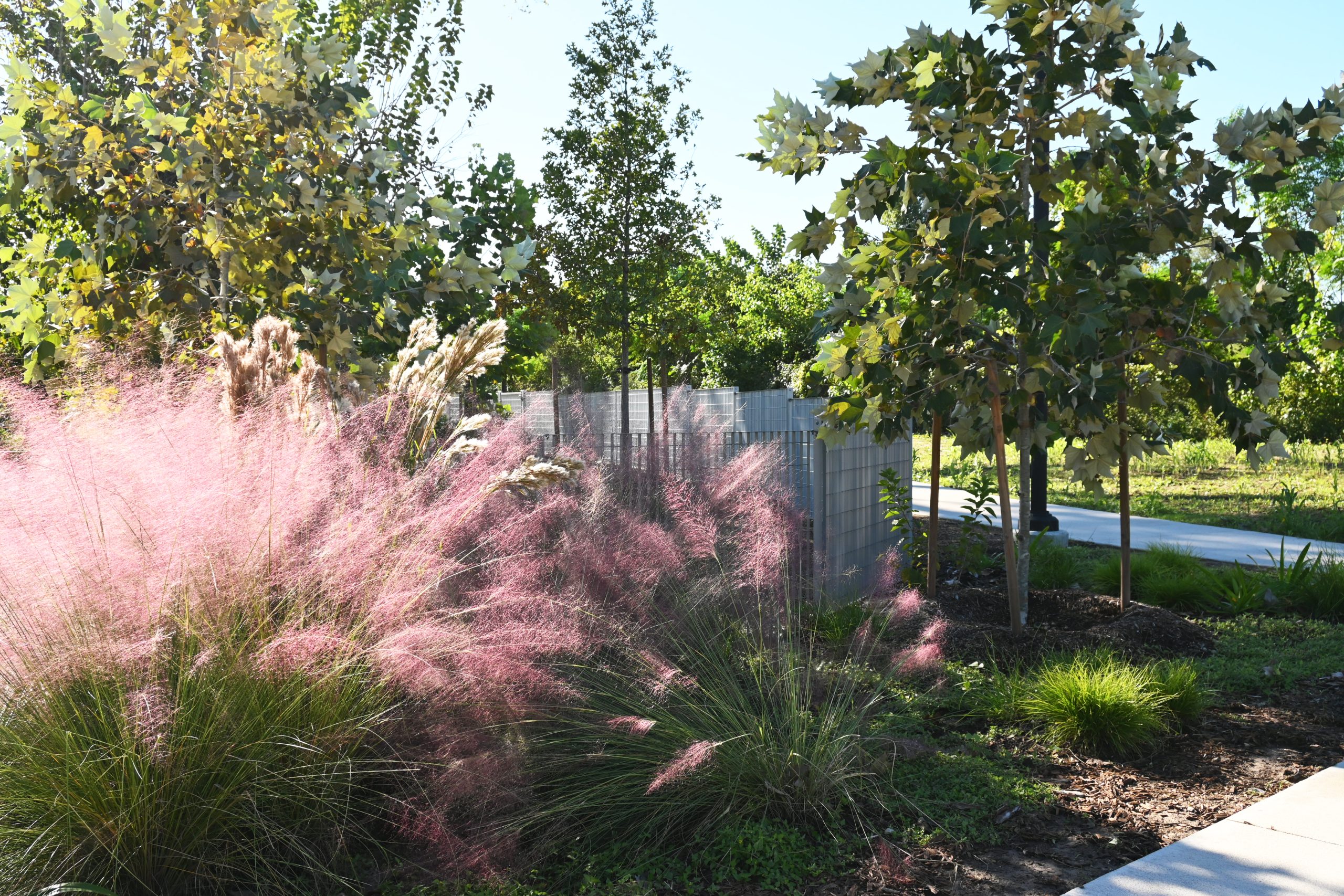 Lockwood Park landscape
